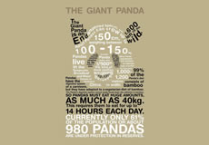 圖像和文本在網(wǎng)站設(shè)計(jì)中哪個(gè)更重要？