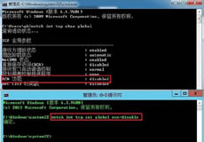 Windows Server上網(wǎng)慢問題解決方案